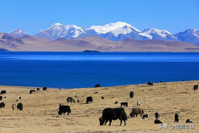 步天堂！西藏库拉岗日雪山圣湖美到窒息澳门新葡京网站藏在喜马拉雅深处的徒(图10)