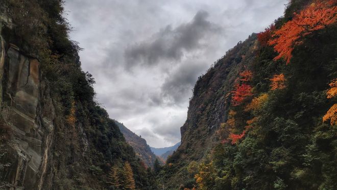 重庆旅游5日游十大必去景点+行程方案澳门新葡京重庆旅游攻略带孩子自由行(图4)